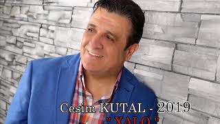 Cesim KUTAL - 2019 \
