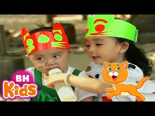 Bé Xuân Mai Vì Sao Con Mèo Rửa Mặt Rửa Mặt Như Mèo Nhạc Thiếu Nhi Xuân Mai  Hay Nhất - Youtube