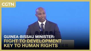 Guinea-Bissau minister: Right to development key to human rights screenshot 5