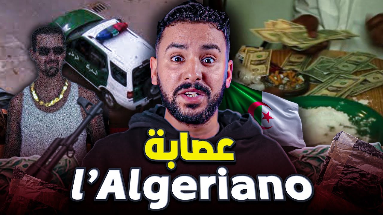 عصابة  (lalgeriano ) 🇩🇿بقيادة زعيم المافيا حمزة في إيطاليا.