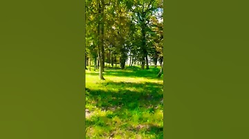 أيات من سورة الحديد بصوت القارئ أحمد النفيس