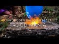 cool science experiments at home lab. easy science tricks. home lab -Hydrogen balloon blast