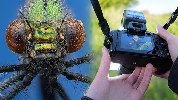 POV Macro Photography With The Olympus 60mm f/2.8