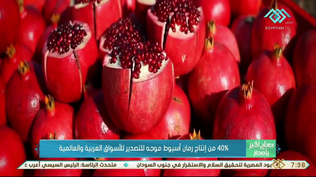 صباح الخير يا مصر  | 40 ٪ من إنتاج رمان أسيوط موجه للتصدير للأسواق العربية والعالمية