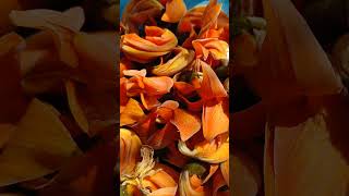 #relaxingmusic #soothingrelaxationrelaxing #globaltrending #discovercontent #exploreglobal #floralar