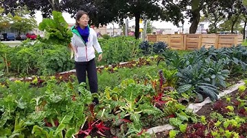 Community Composting
