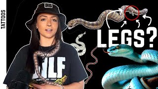 How Did Snakes Lose Their Legs?