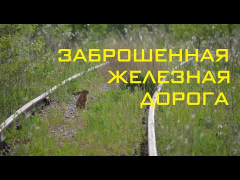 Заброшенная железная дорога Клин – Высоковск