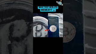 THIS experiment PROVES water has memory...💦🤯👀 #energy #experiment #awareness #science