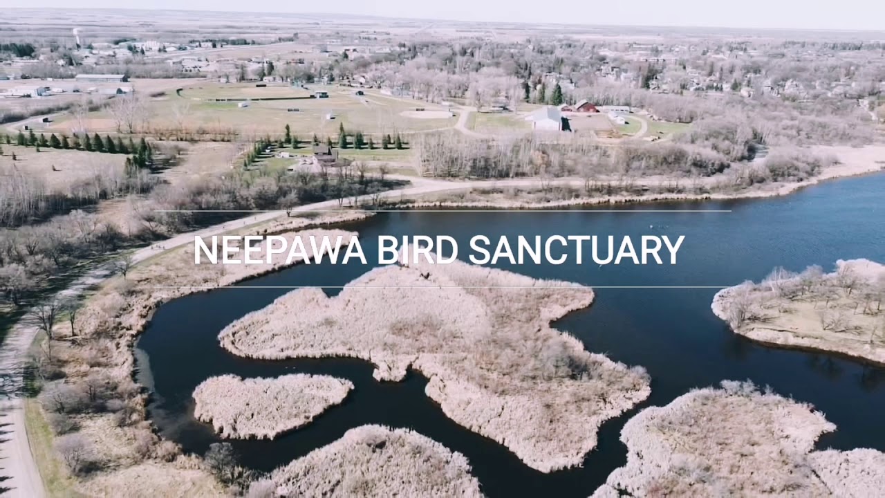 Hidden Beauty of Neepawa Town | Manitoba, Canada