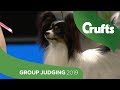 Toy Group Judging and Presentation | Crufts 2019