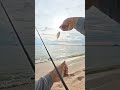 Double Strike! Apollo Tepi Pantai Naik 2 Baby Cencaru 🎣🔥