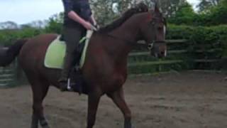VID00072.MP4