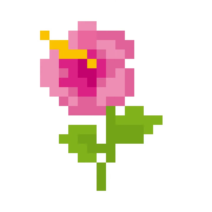 2019年11月12日