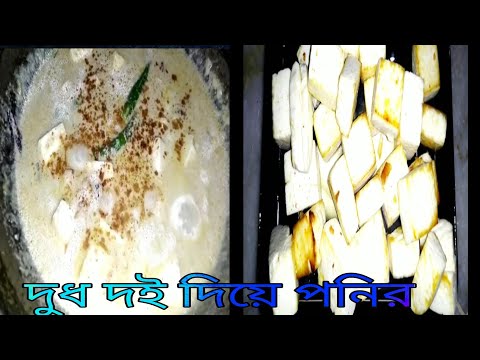 ভিডিও: ঘরে বসে কীভাবে ঝলমলে দই পনির তৈরি করবেন