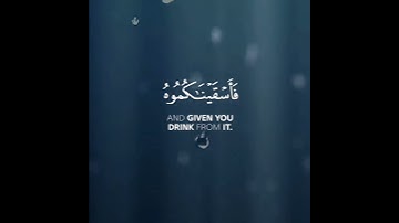 ❞القــــــارئ : #هزاع_البلوشي 📜 ســـورة الحجر | الآيــــة ٢٢-٢٣_ فَأَسْقَيْنَٰكُمُوهُ قرآن الكريم