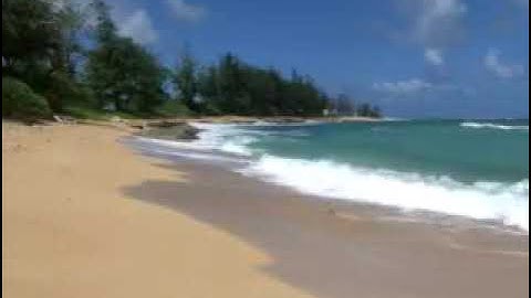 الشيخ إبراهيم العياف ، إمام جامع النصيان ببريدة ، آيات من سورة العنكبوت .