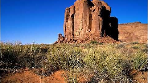 سورة البقرة بصوت القارئ محمد الإيراوي