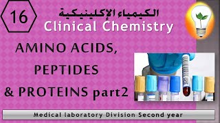 Clinical Chemistry (16) AMINO ACID, PEPTIDE & PROTEIN الأحماض الأمينية و الببتيدات و البروتينات ج2