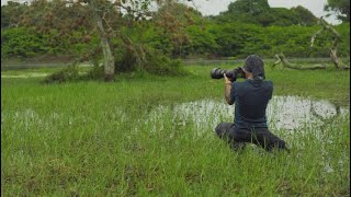 Ven a un viaje de Naturaleza único, Archipiélago Bijagó, África 🌍