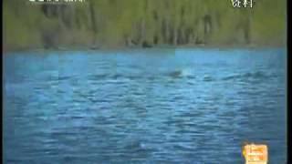 Неизвестное животное в озере Канас