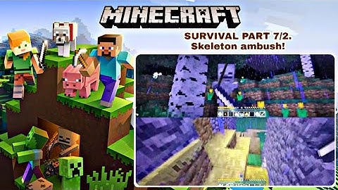Minecraft Nintendo Switch Edition G10, 2P local splitscreen Survival Mode, Under fire by Skeletons!
