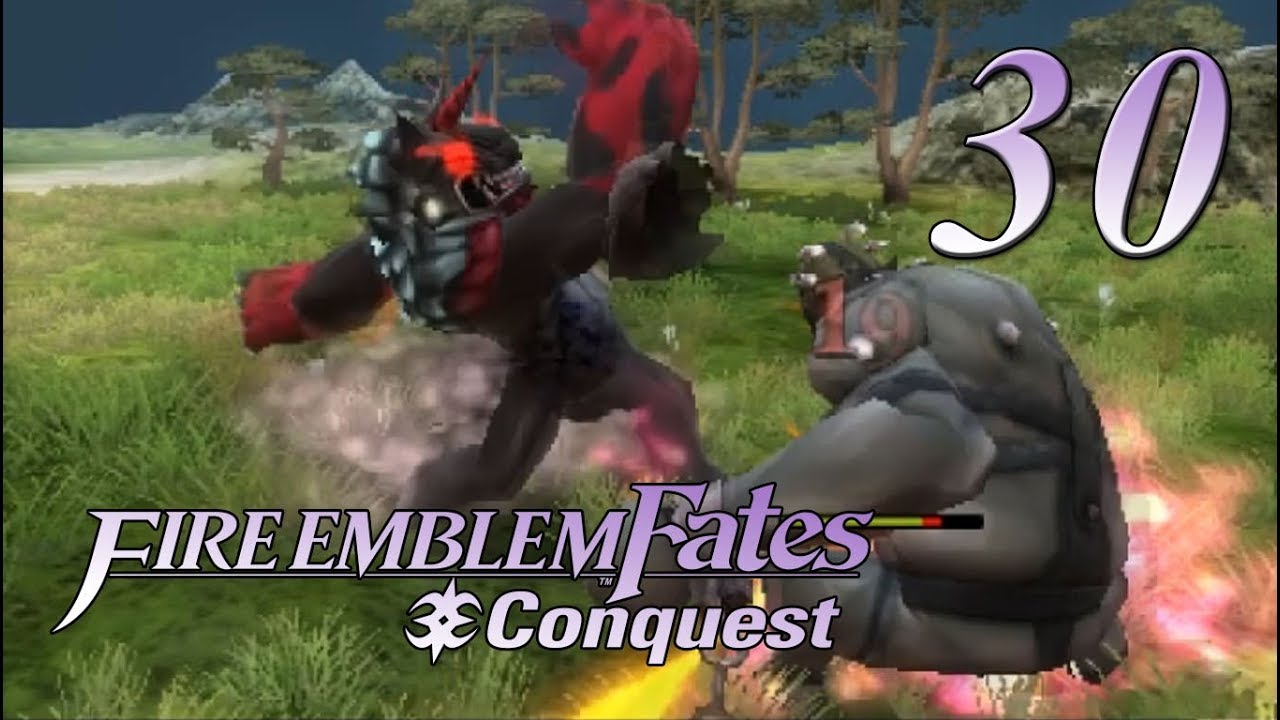 Nutty Family - Lunatic/Classic - Fire Emblem Fates: Conquest - 30