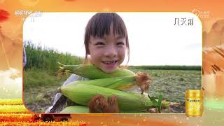 zhi li kuai che 20251230 shen qi hei tu di feng shou bang