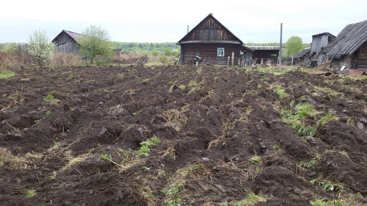 обработка земли мотоблоком, философские рассуждения на свежевскопаной ...