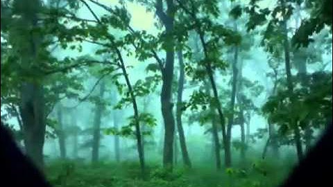 قراءة جميله من سورة الحديد للشيخ سلمان العتيبي