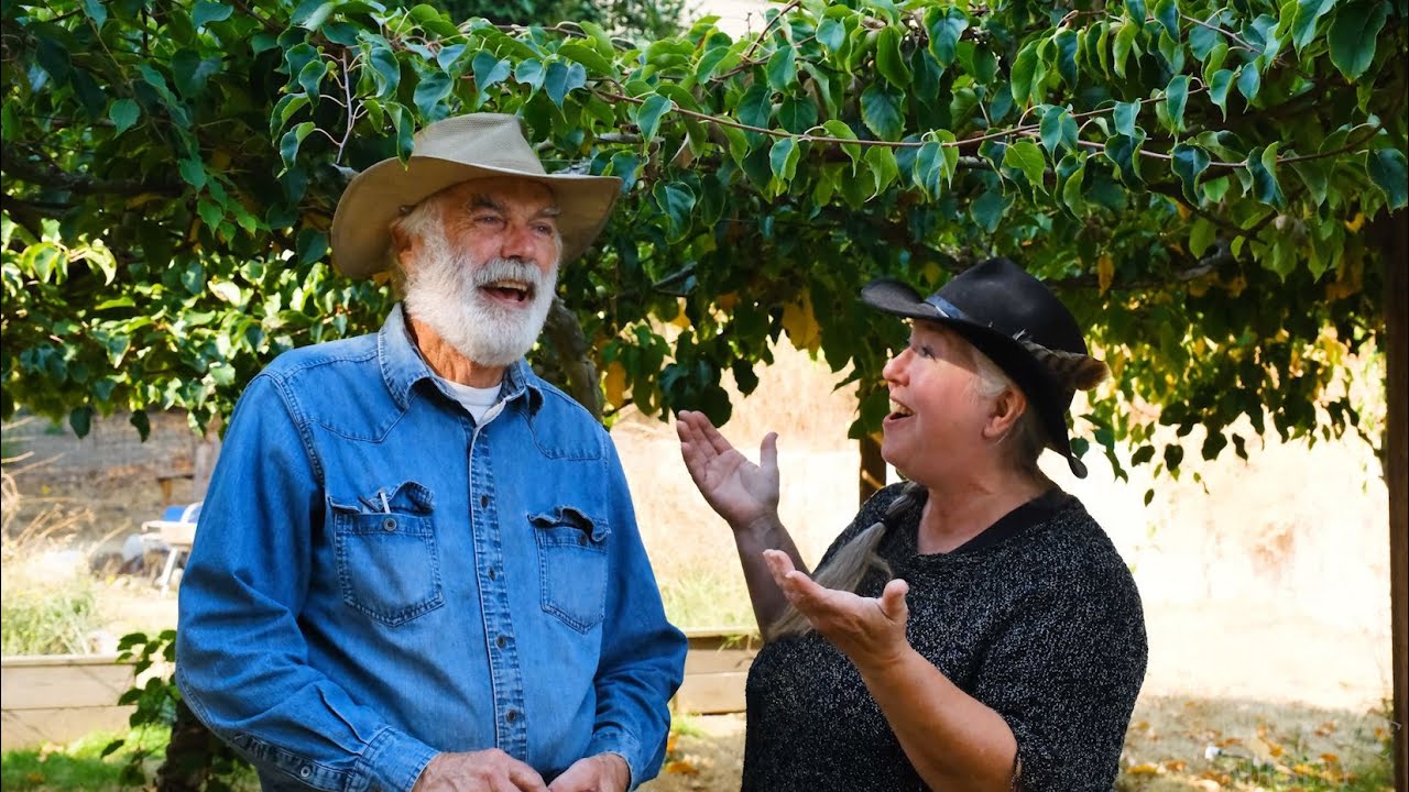 Growing Hardy Kiwis at Broken Shovel Farm!