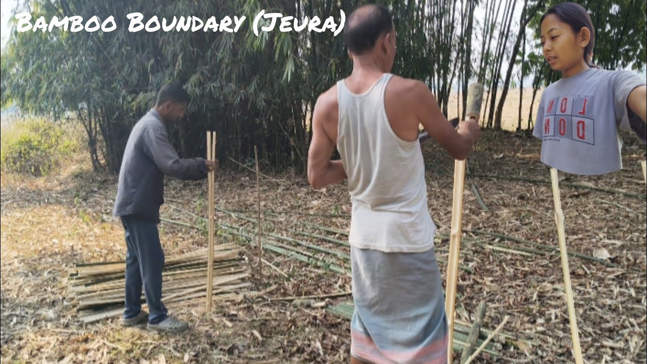 Bamboo Boundary//Village Life//Nikumani Basumatari