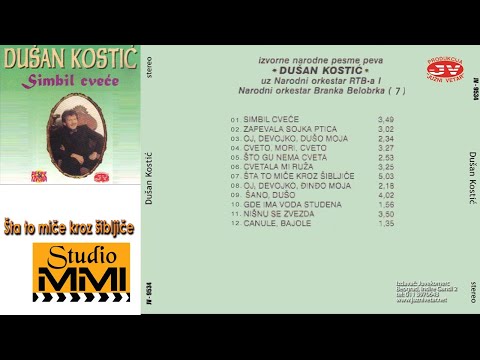 Dusan Kostic -