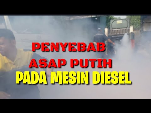 Video: Mengapa mesin diesel saya mengeluarkan asap putih?