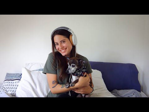 Podcast Ten: Thoughts about bringing my dog to New Zealand - YouTube