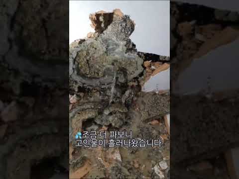 [경기도 가평 누수 현장] 벽 속에서 물이 흐르고 있었습니다… 실제 수리 과정 공개!