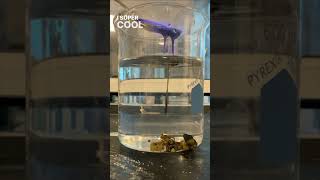 We all know what it looks like 🥄 Keep the COMMENTS fun & kind #Chemistry #ShortsCreator #Shorts