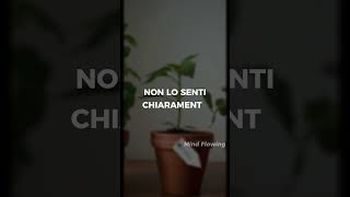 Latenza