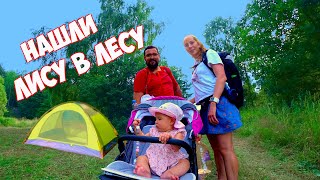 УШЛИ НА ТРИ ДНЯ С МАЛЕНЬКИМ РЕБЁНКОМ В ЛЕС С ПАЛАТКОЙ!