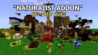 NATURALIST ADDON SHOWCASE 1.20!! THE BEST ANIMAL MOD FOR MCPE/BE AND JAVA