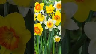 Famous Your Birth Flower according to your birthday month Pt. 1 | #bts #birthflower #flowers #aesthetic Net Worth