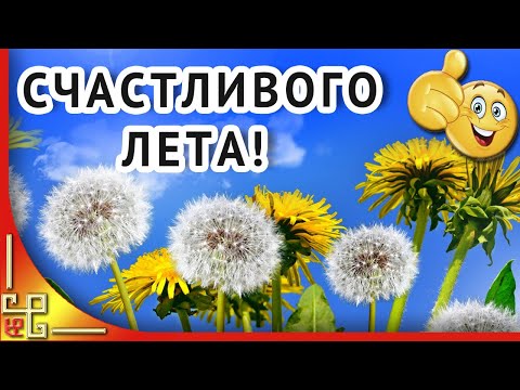 Я желаю тебе летнего настроения! Пожелания друзьям. Красивое видео