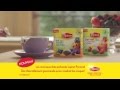 Pub tv lipton ths gourmands