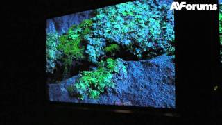 CES 2012 - Toshiba 4K LED LCD TV