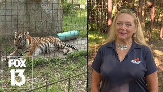 Carole Baskin: 'Tiger King' fame all worth it after Big Cat Public Safety Act passes