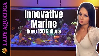 Aquarium Intro Innovative Marine Nuvo 150 Gallons Display | Saltwater Reef Tank