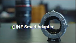 Metabones Adapter: Standard vs Locking