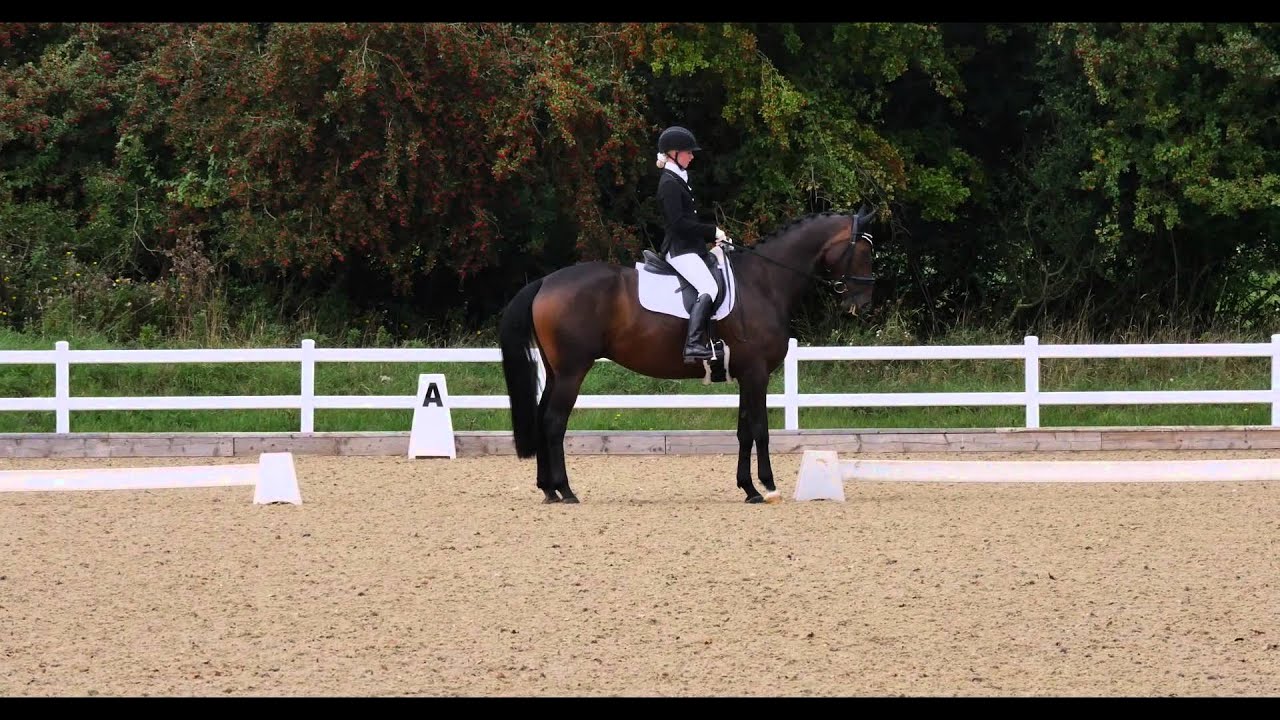 Elementary 45 73.7% Brook Farm EC