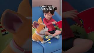 Flying Moco Totally Unexpected Flying Moco English Shorts 2025