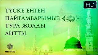 Түске енген Пайғамбарымыз ﴾ﷺ﴿ тура жолды айтты ᴴᴰ ( ұстаз Исрафил Бегей )